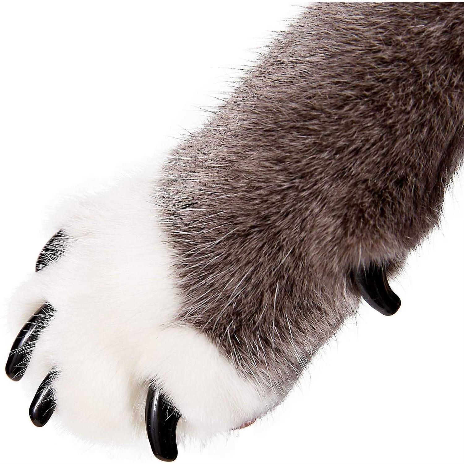 Purrdy Paws Soft Nail Caps for Cat Claws - Healthber