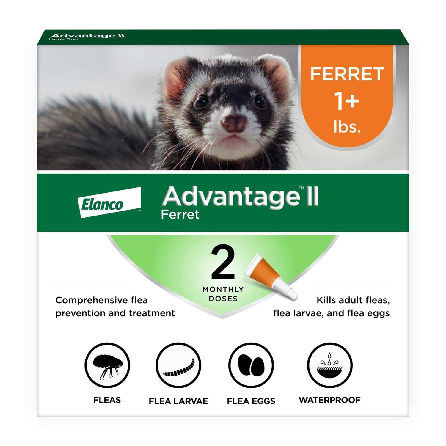 Advantage II Flea Treatment for Ferrets - Healthber
