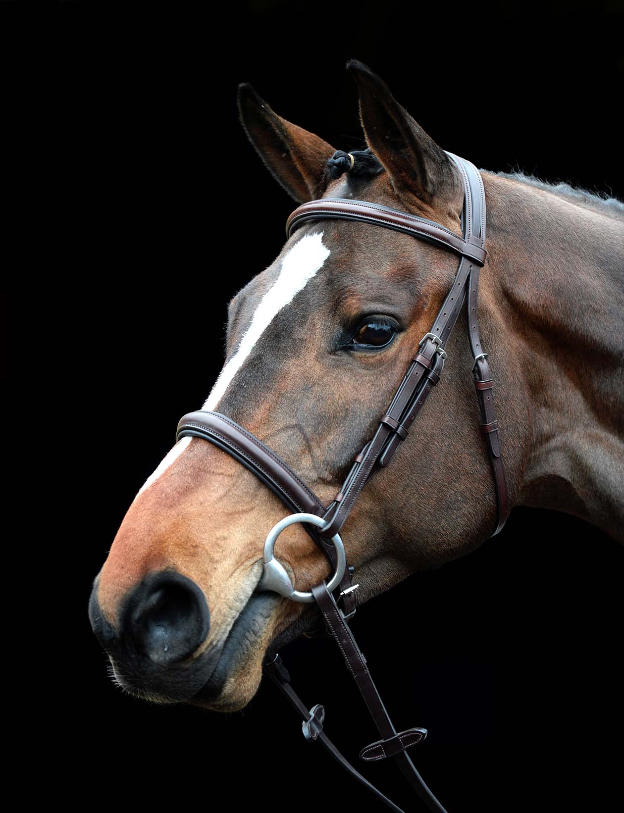 Collegiate Comfort Crown Padded Raised Cavesson Bridle - Healthber