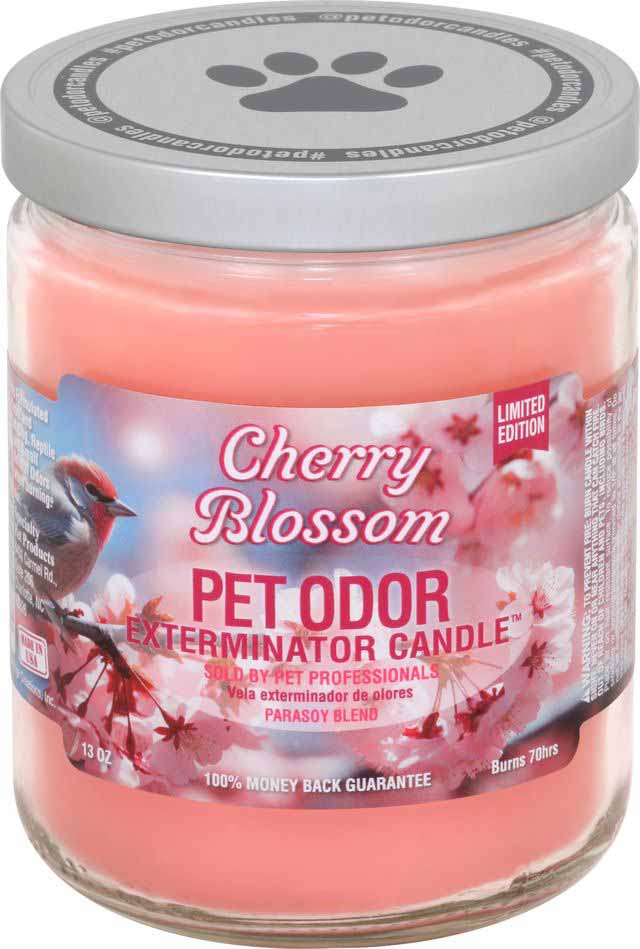 Pet Odor Exterminator Candle, Cherry Blossom, 13 oz - Healthber