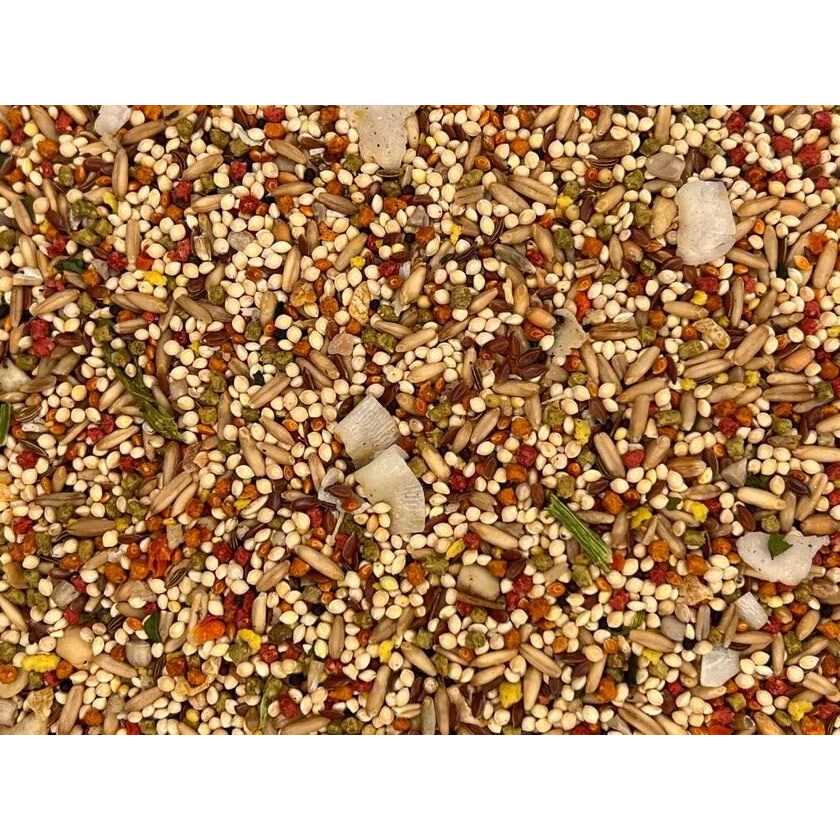 Higgins Sunburst Gourmet Blend Parakeet Food - Healthber