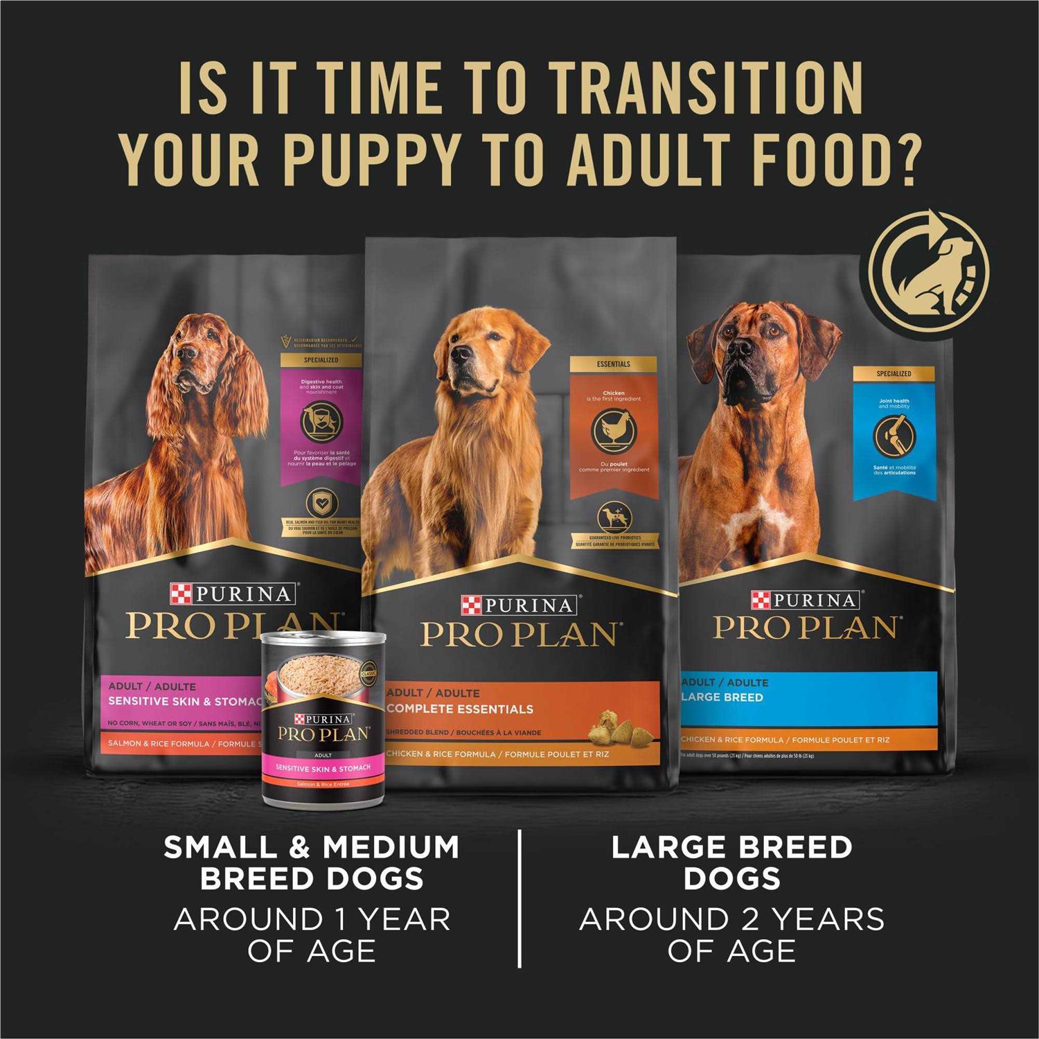 Purina Pro Plan Sensitive Skin & Stomach Dry Puppy Food - Healthber