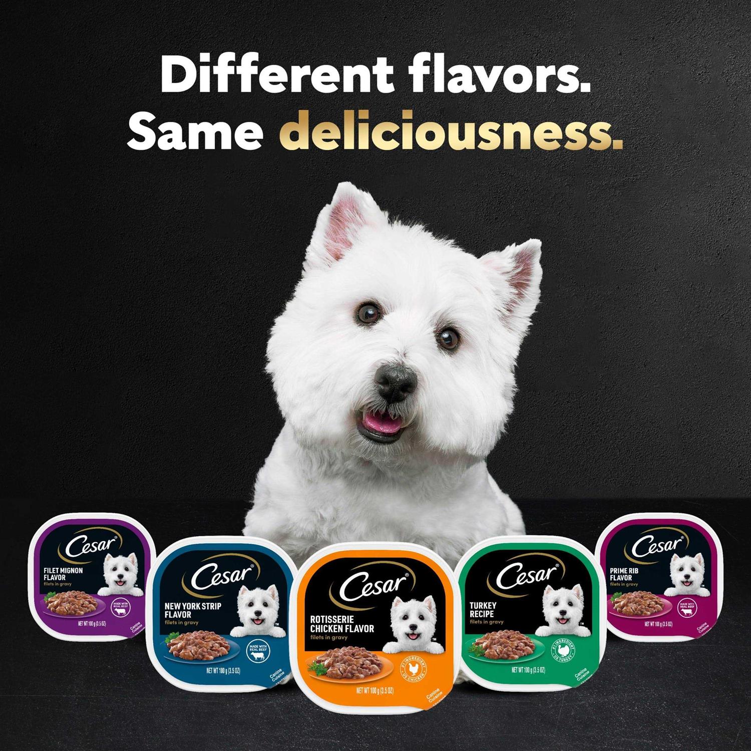 Cesar Filets in Gravy Rotisserie Chicken Flavor Wet Dog Food - Healthber