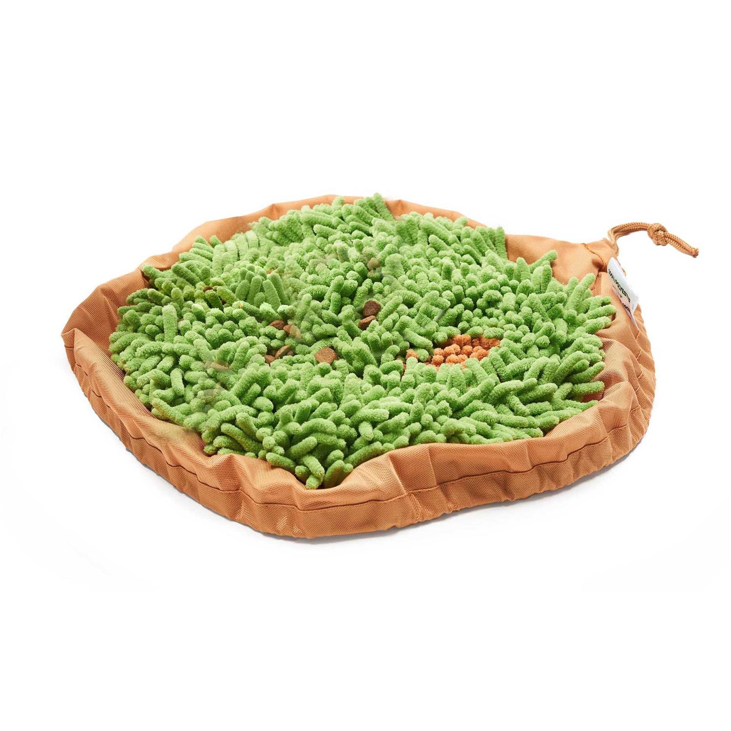 Pet Parents Forager Snuffle Mat & Slow Feeder Dog Bowl - Healthber