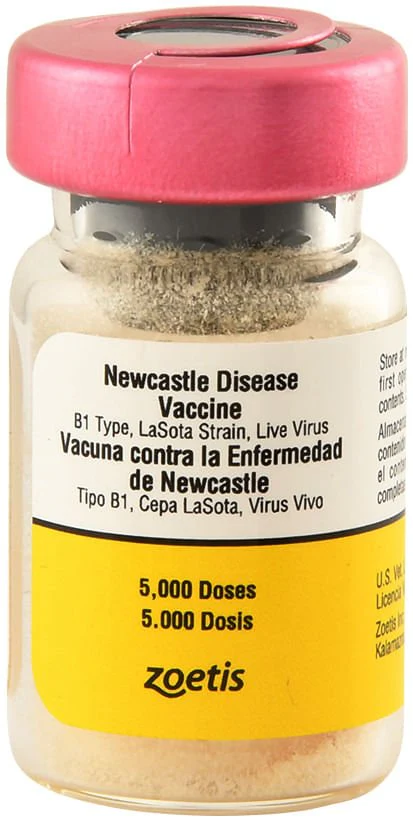Newcastle Disease Vaccine - 5,000 Dose - Healthber