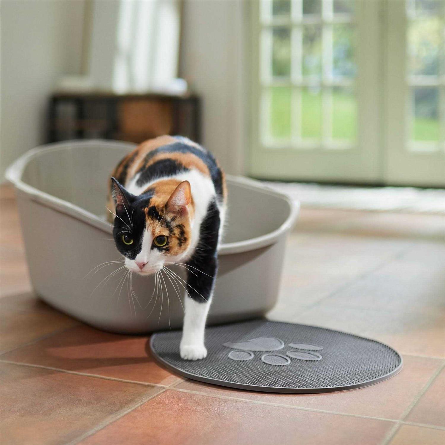 Frisco High Back Cat Litter Box - Healthber