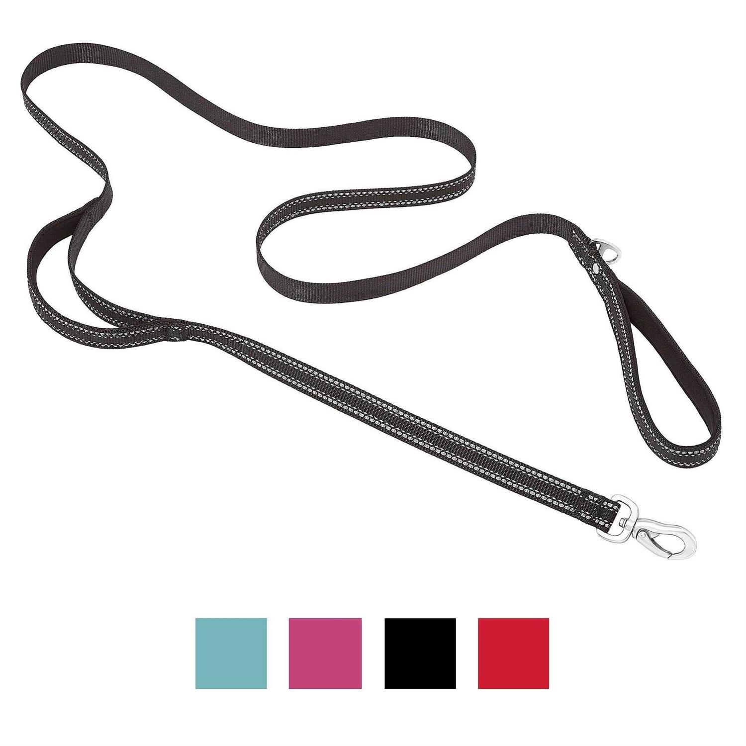 Frisco Outdoor Nylon Reflective Comfort Padded Dog Leash - Healthber