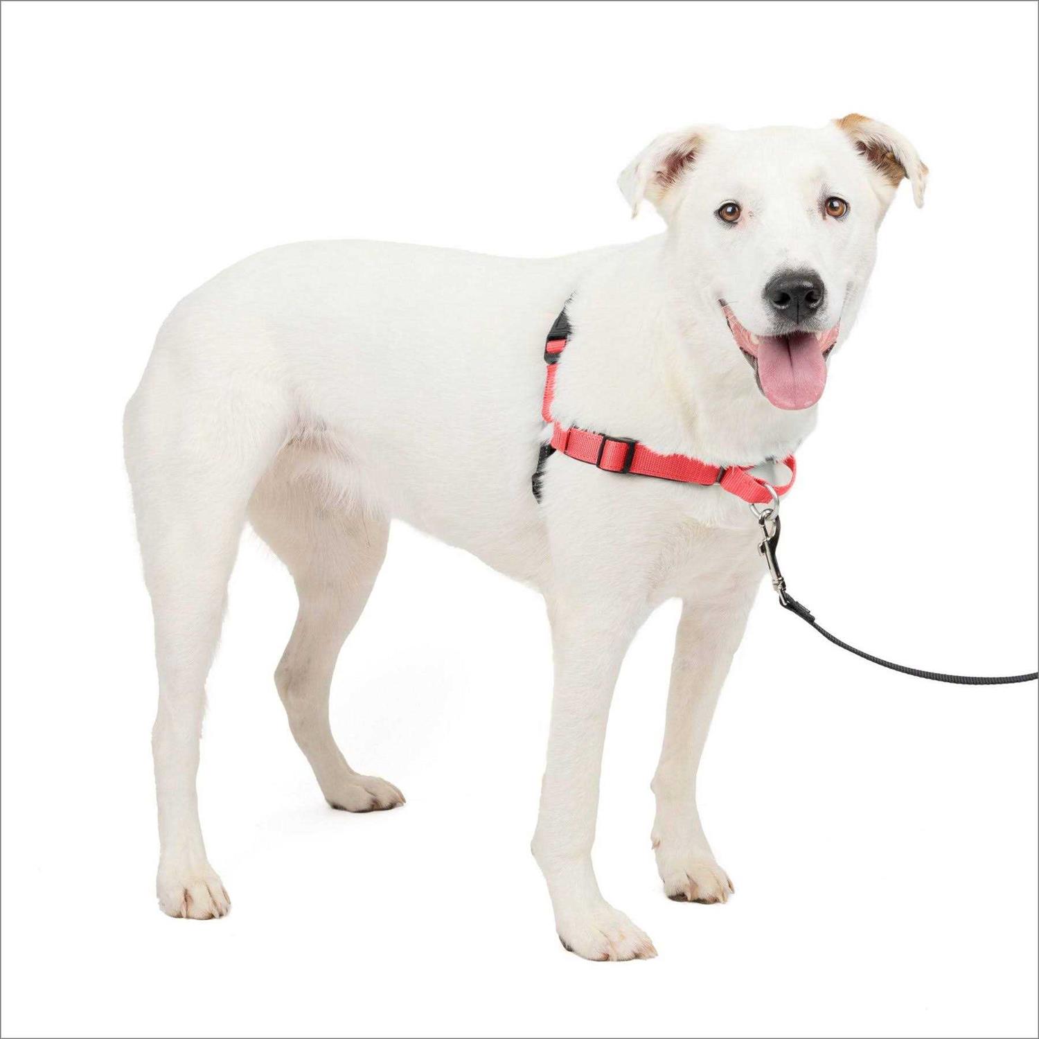 PETSAFE Easy Walk Harness - Healthber