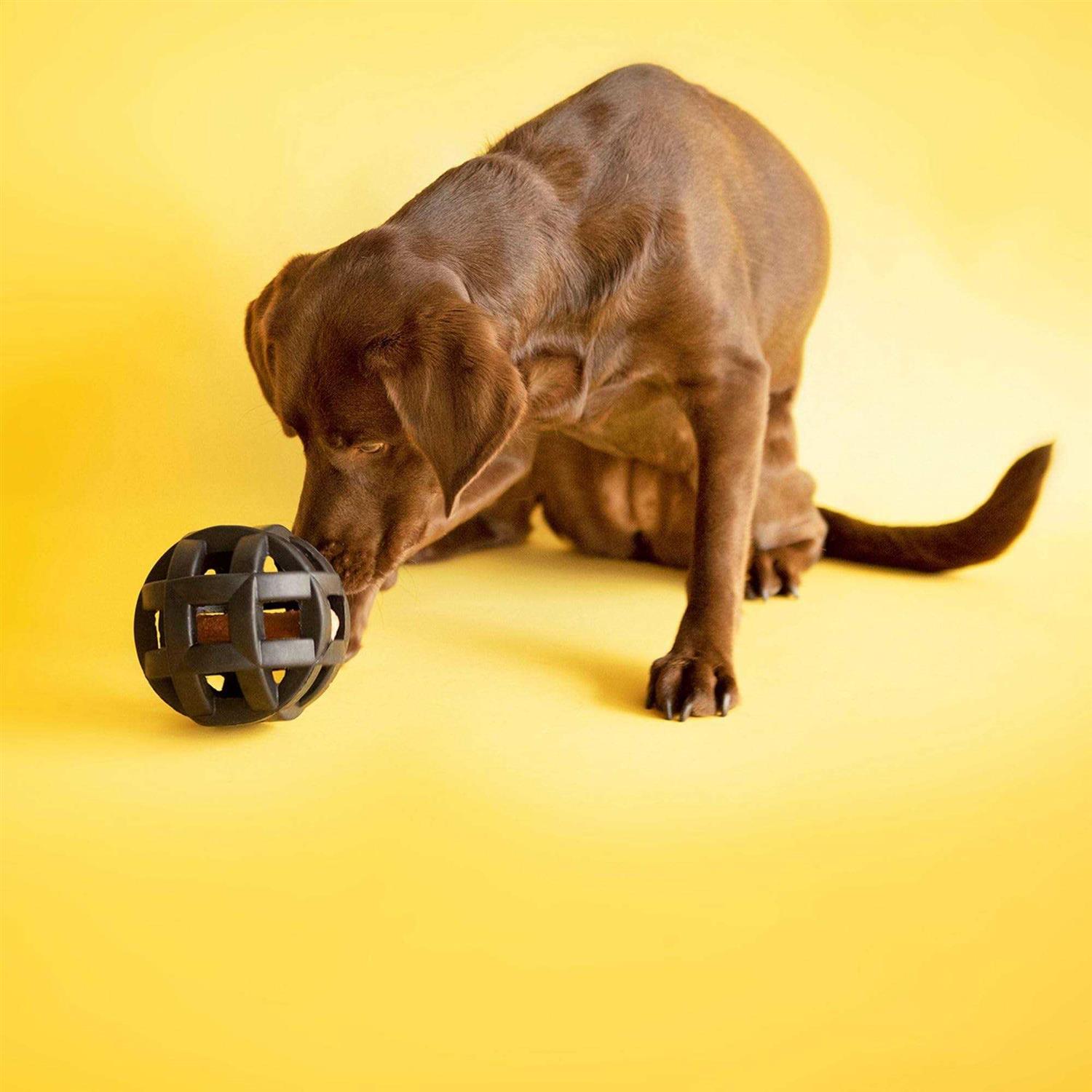 JW Pet Hol-ee Roller X Extreme Dog Toy - Healthber