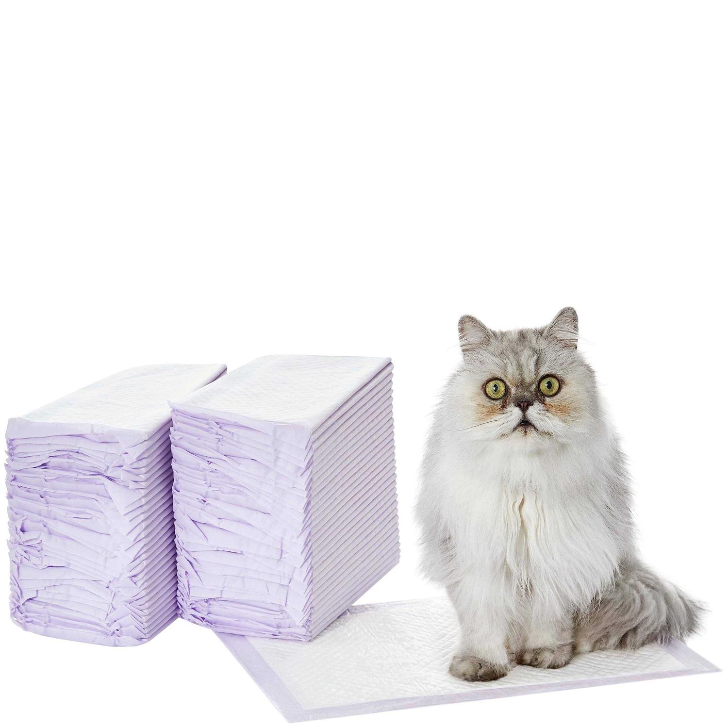 Basics Cat Pad Refills for Litter Box - Healthber
