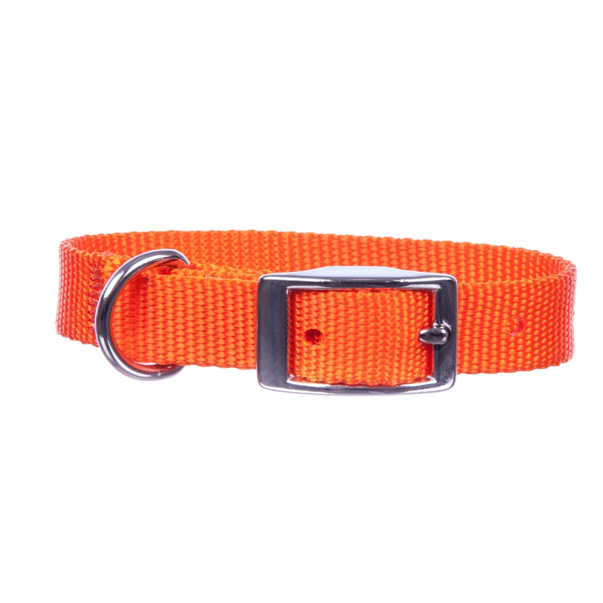 Solid Web Nylon Dog Collar, 5/8