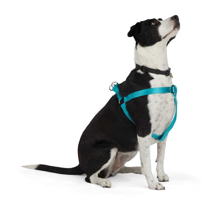 Youly Dog Harness Herringbone - Healthber