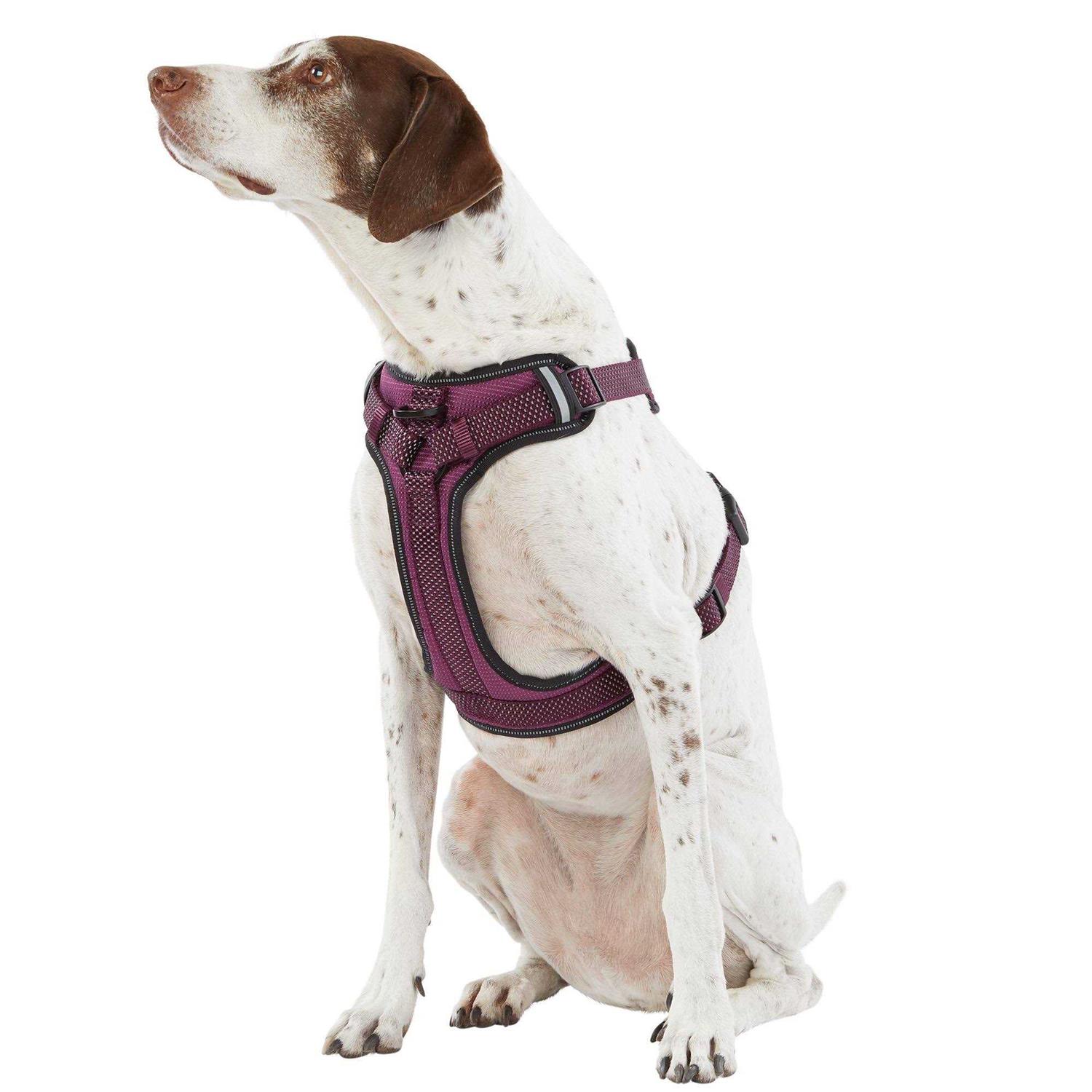 Top Paw Ultra-Reflective Dog Harness - Healthber