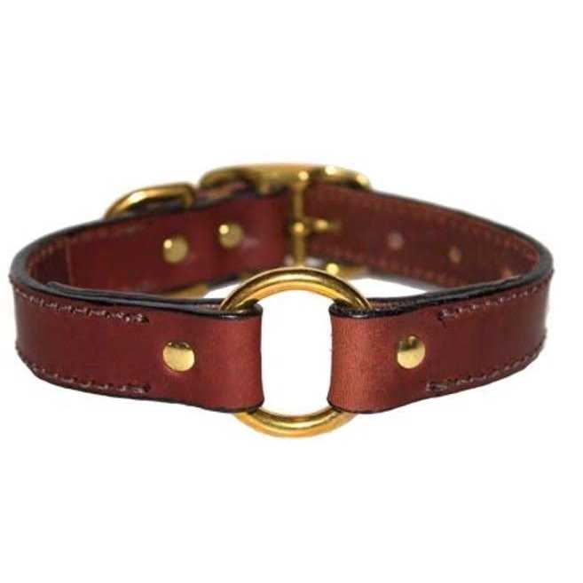 Leather Dog Collar with Nameplate - Healthber