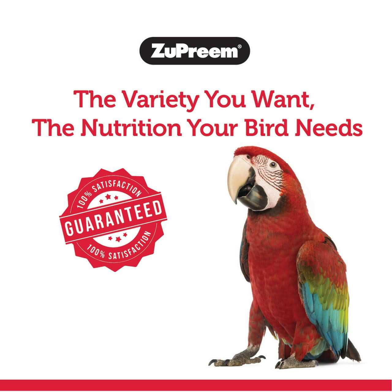 Zupreem FruitBlend Flavor Bird Food Large - Healthber