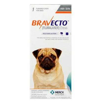 Bravecto Chews 2 Dose Small Dog 9.9-22 Lbs - Healthber