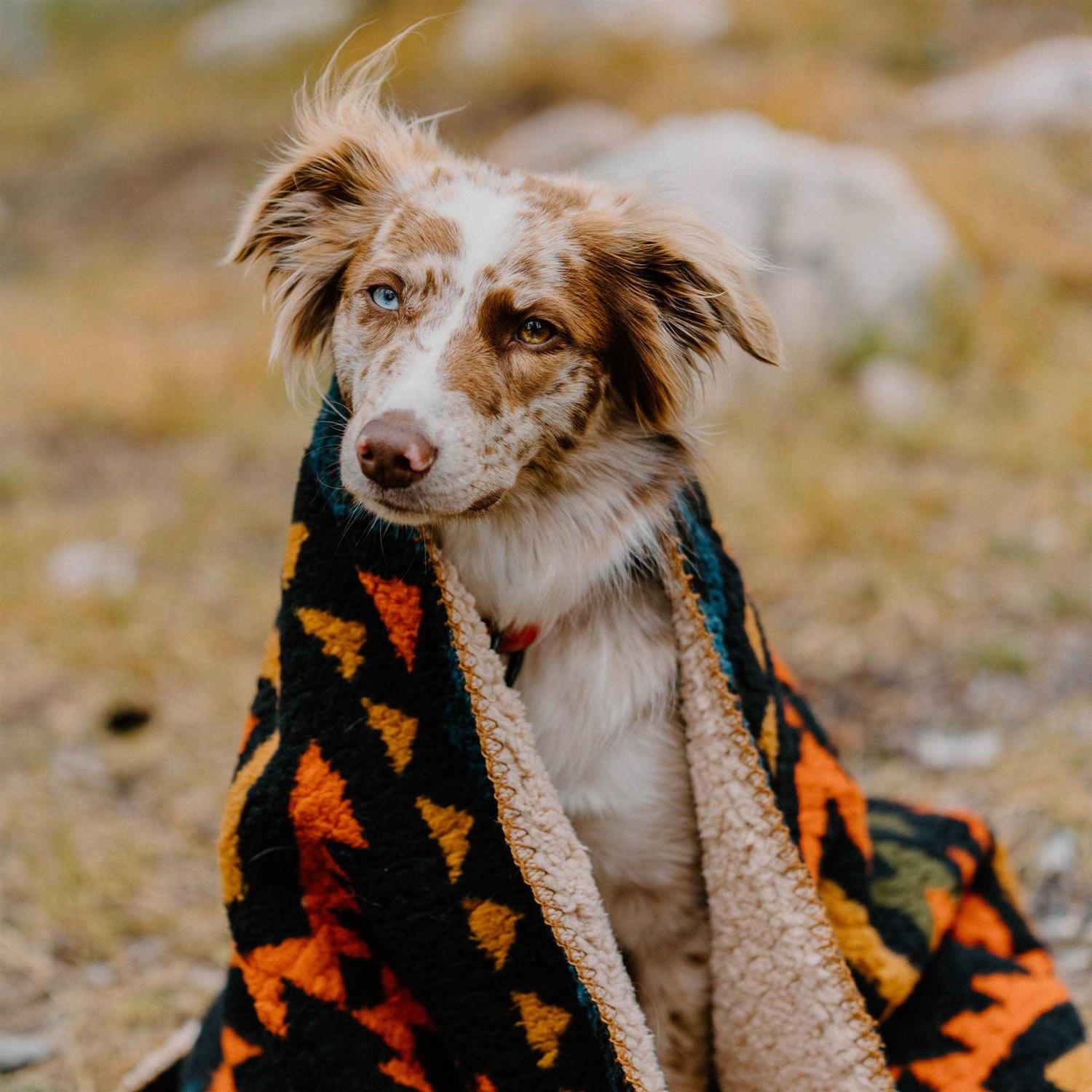 Wilderdog Sherpa Fleece Waterproof Blanket - Healthber