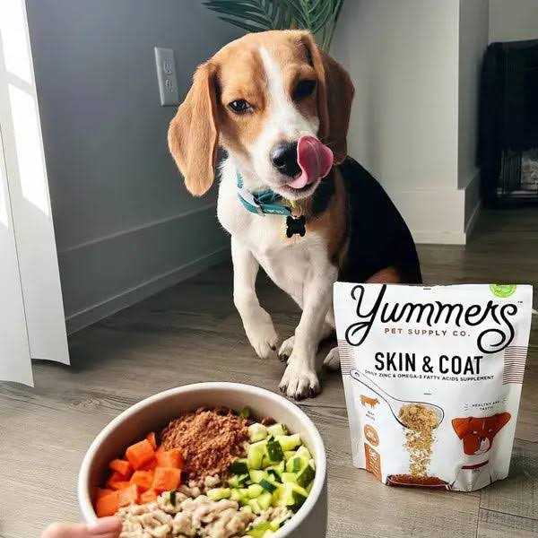 Yummers Skin & Coat Beef Dog Food - Healthber
