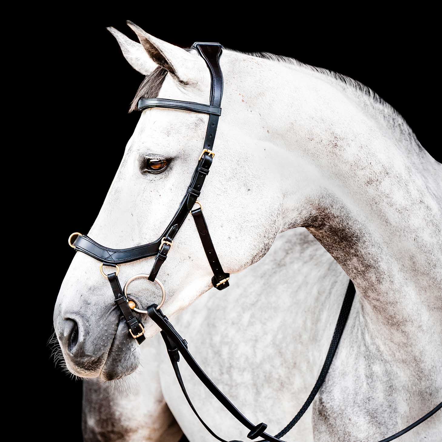 Micklem 2.0 Multi Bridle, Black - Healthber