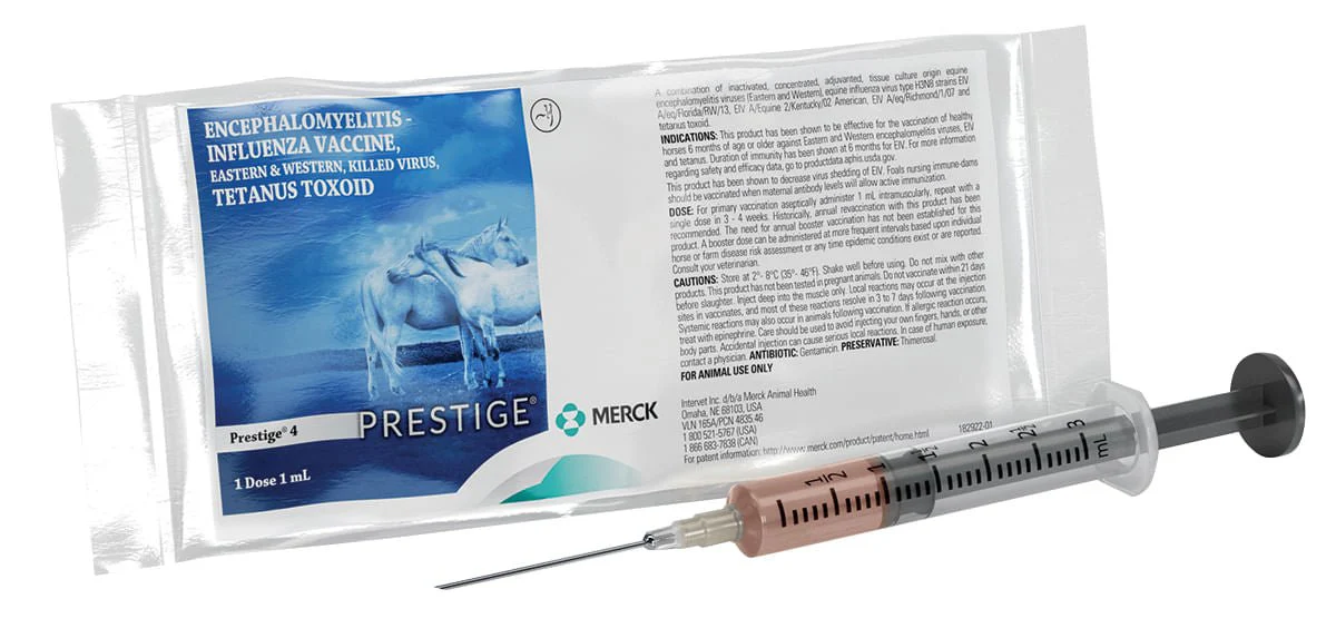 Prestige 4 - Healthber