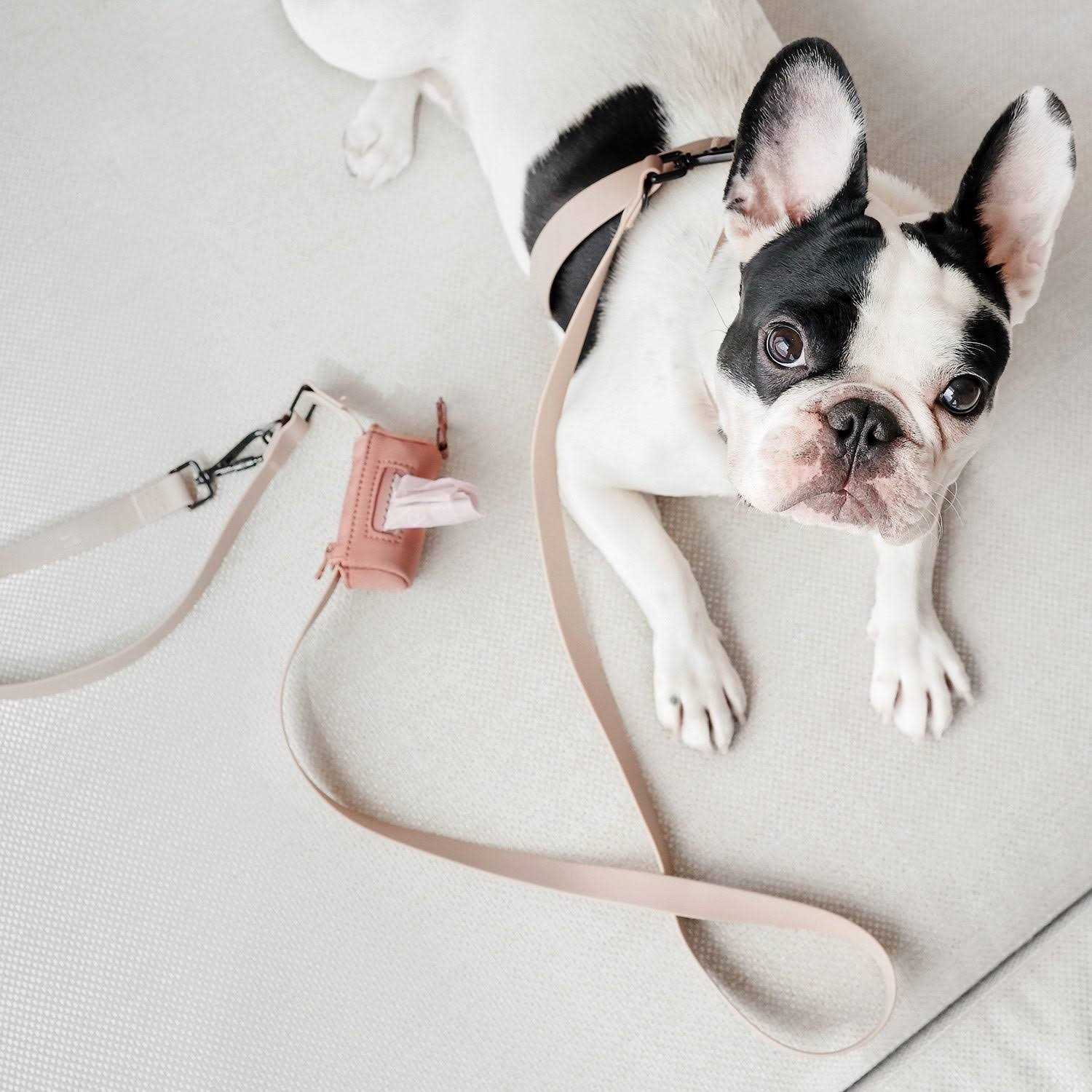 Lambwolf MELLEM narrow Hands Free Long Dog Leash - Healthber