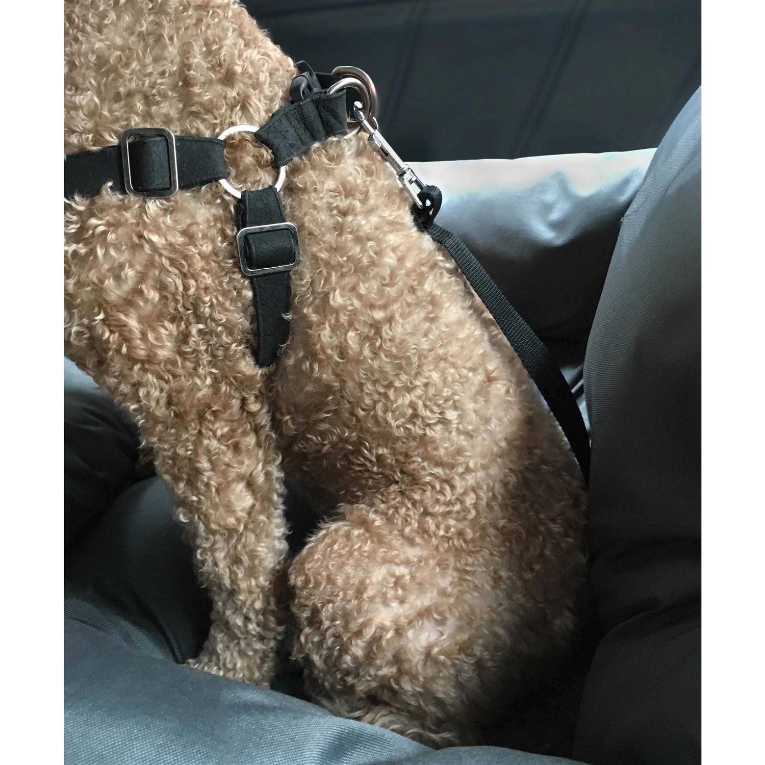Precious Tails Travel Pet Bed - Healthber
