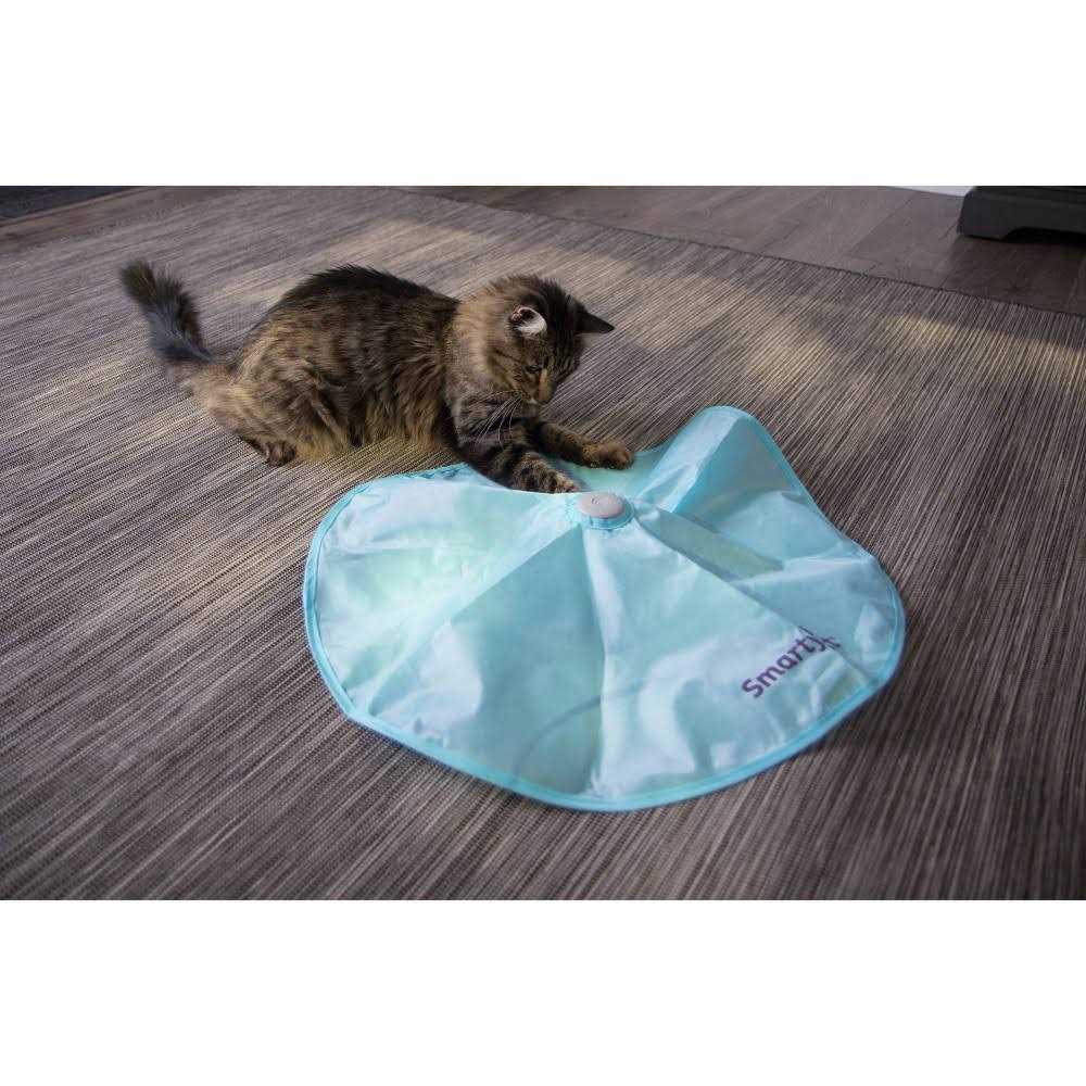 SmartyKat Hot Pursuit Electronic Motion Cat Toy - Healthber