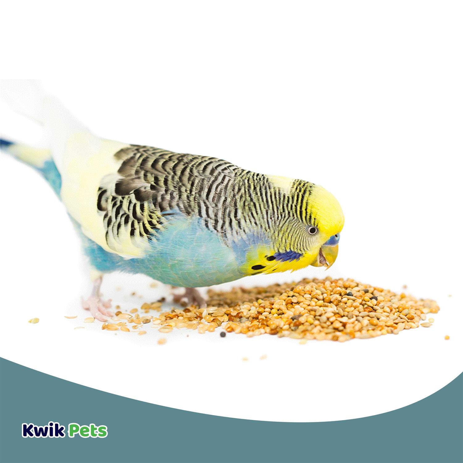 Volkman Avian Science Super Parakeet - Healthber