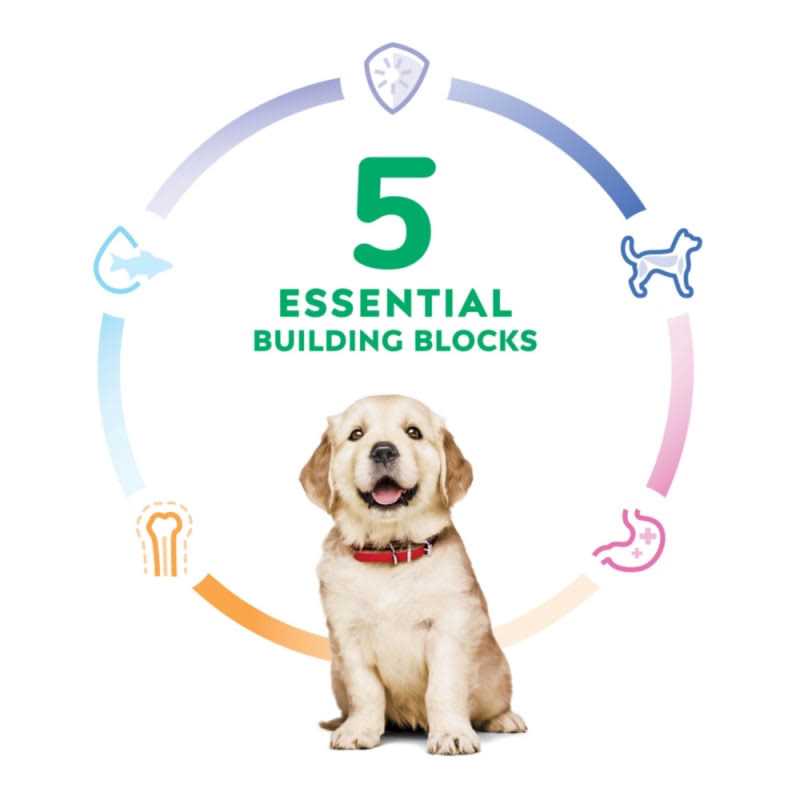 Hill’s Science Diet Large Breed Puppy Chicken Recipe Dry Dog Food - Healthber