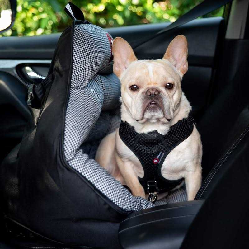 PupSaver Dog Car Seats for Small and Medium Dogs Travel Booster Pet Seat |Crash-Tested Dog Bed for Cars - Healthber