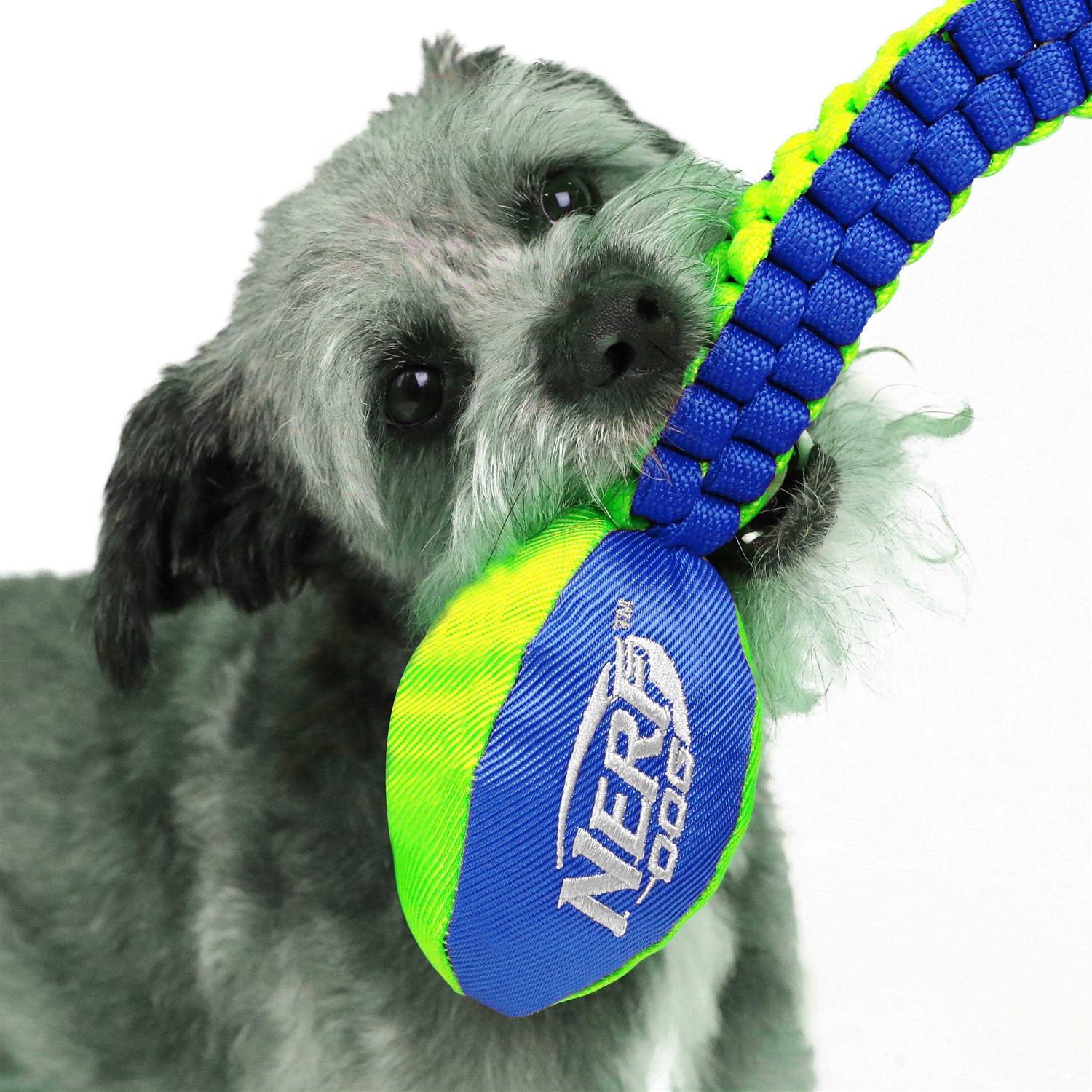 Nerf Vortex Chain Tug Dog Toy - Healthber