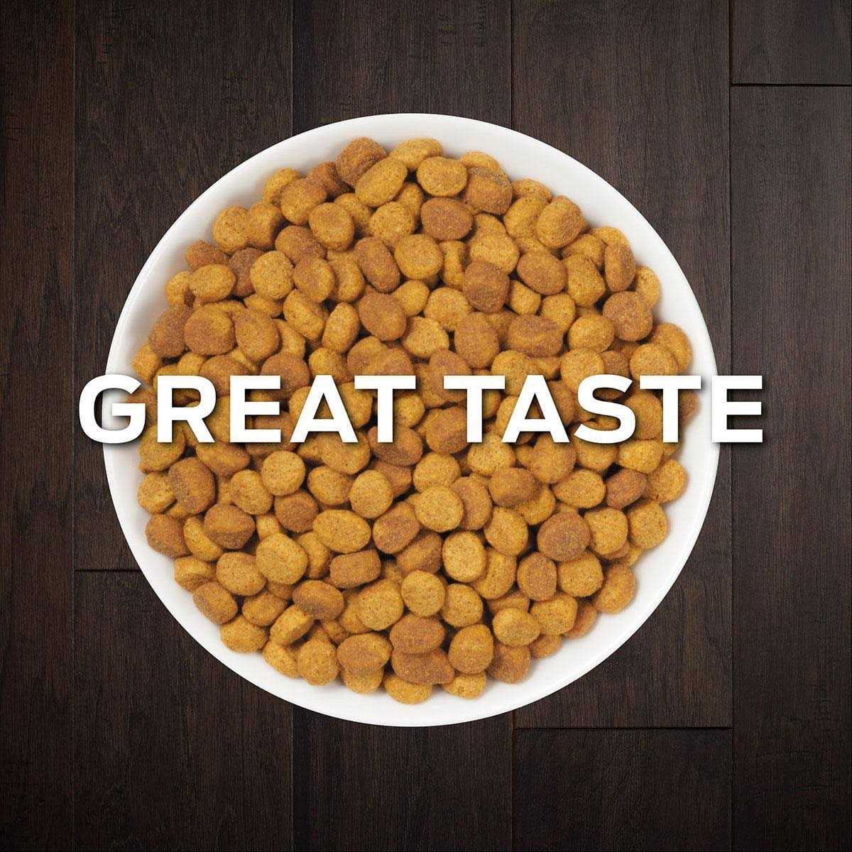 Purina Pro Plan Veterinary Diets OM Overweight Management Formula Dry Cat Food - Healthber