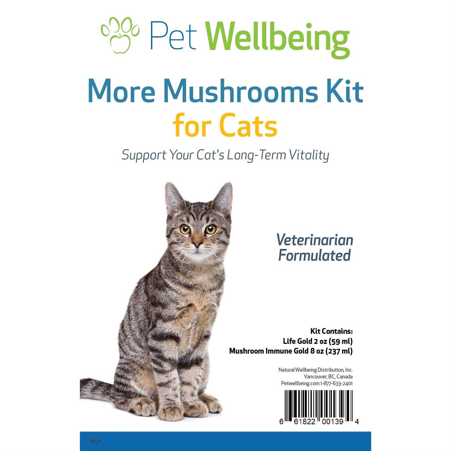 Pet WellBeing More Mushrooms Kit Comprehensive Care for Cat Cancer Support - Healthber