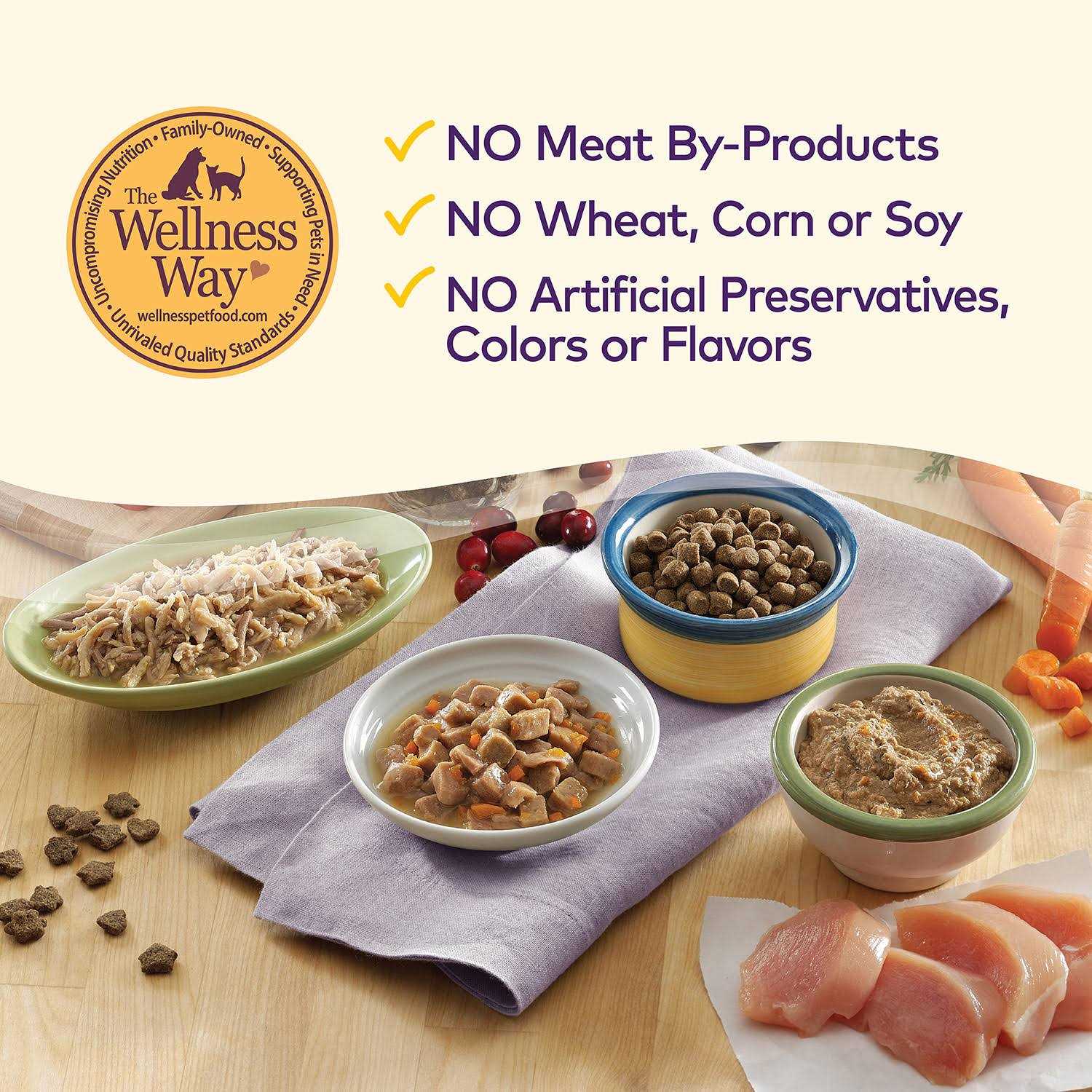 Wellness Complete Health Natural Grain Free Salmon & Herring Indoor Dry Cat Food - Healthber
