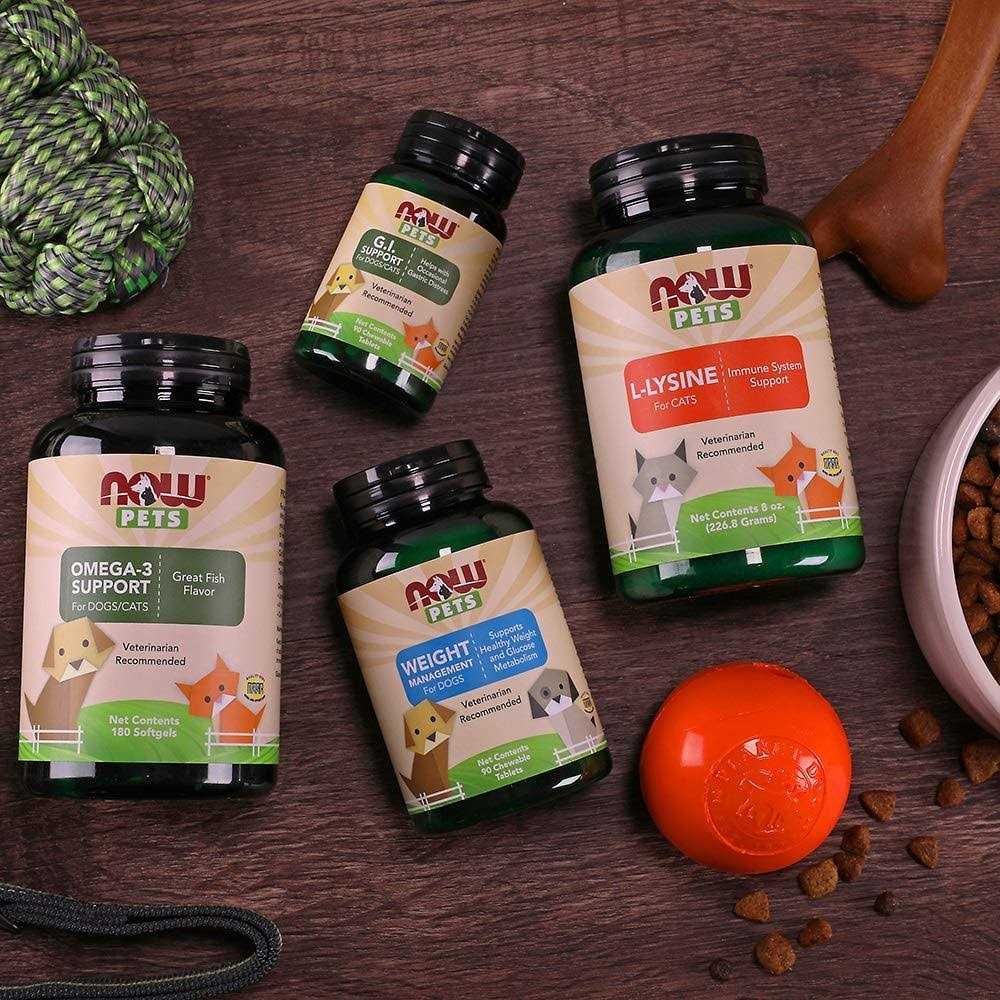 Now Cardiovascular Support for Dogs & Cats - Healthber