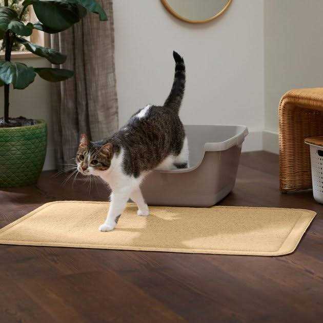 Frisco Rectangular Cat Litter Mat - Healthber