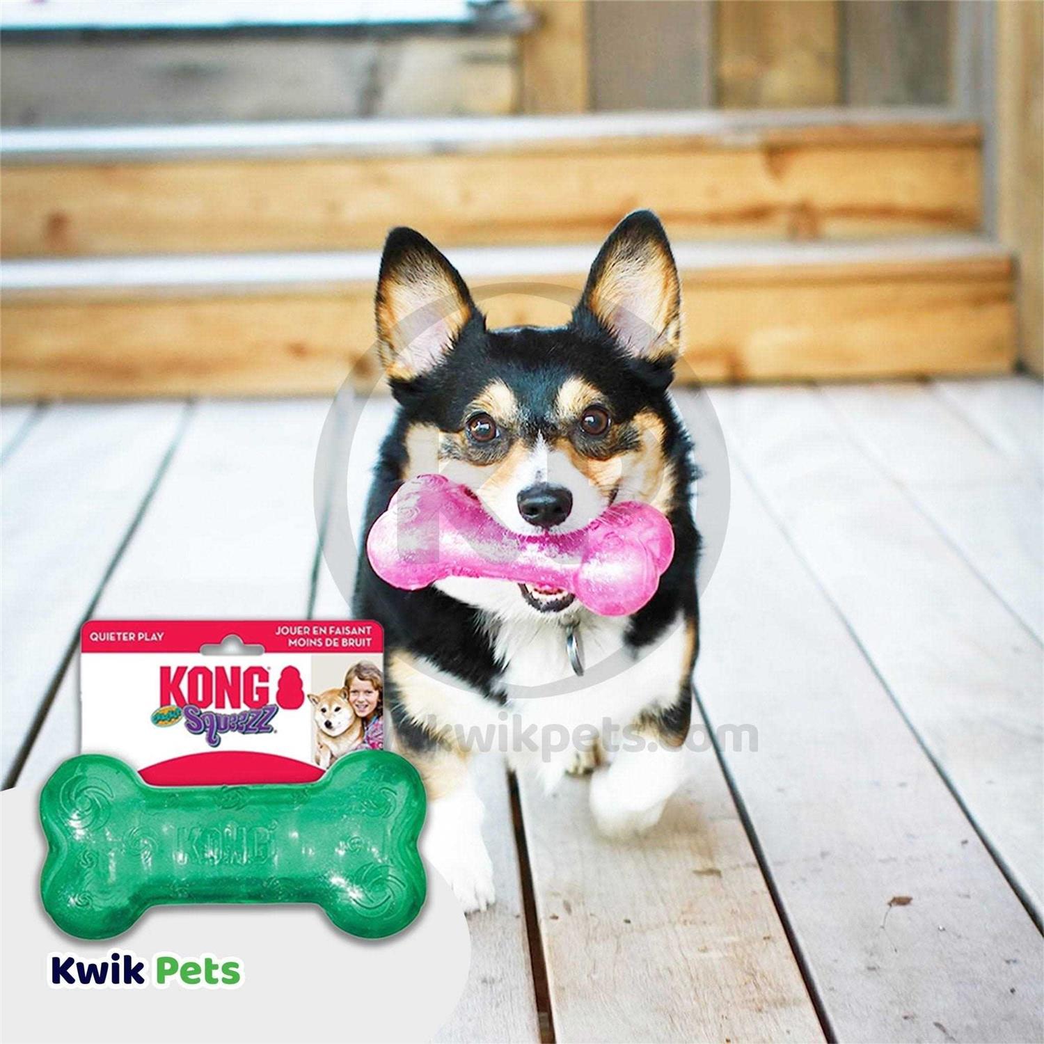Kong Squeezz Bone Dog - Healthber