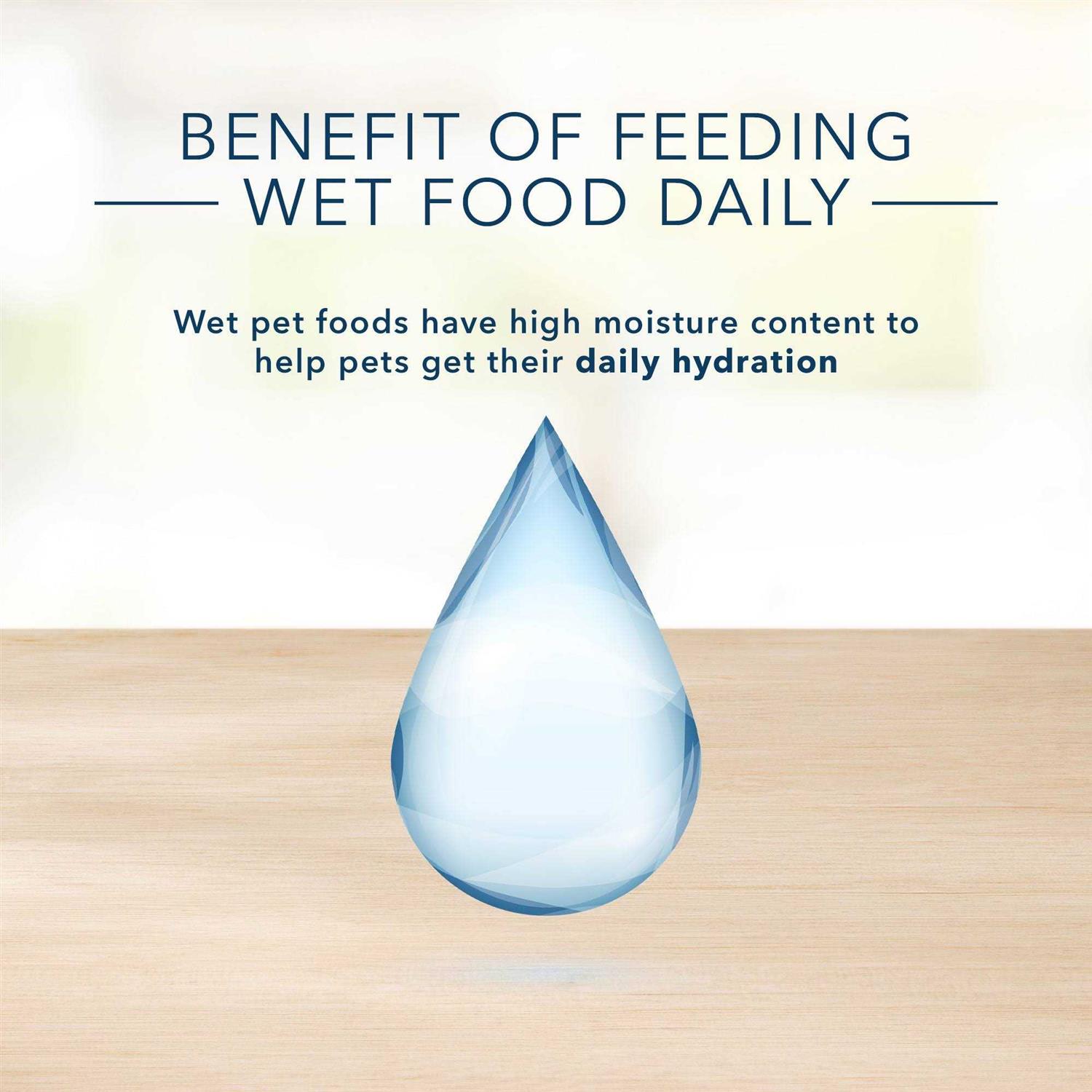 Blue Buffalo Homestyle Recipe Turkey Meatloaf Dinner Wet Dog Food - Healthber