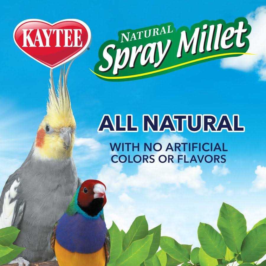 Kaytee Spray Millet - Healthber