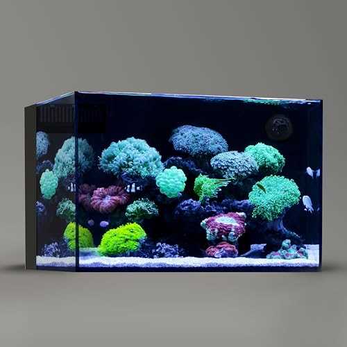 Landen 60P 26.23 Gallon Ultra Clear All Glass Rimless Low Iron Aquarium Tank with Rear Filtration Chamber for Salt and Fresh (Return Pump Included) - Healthber