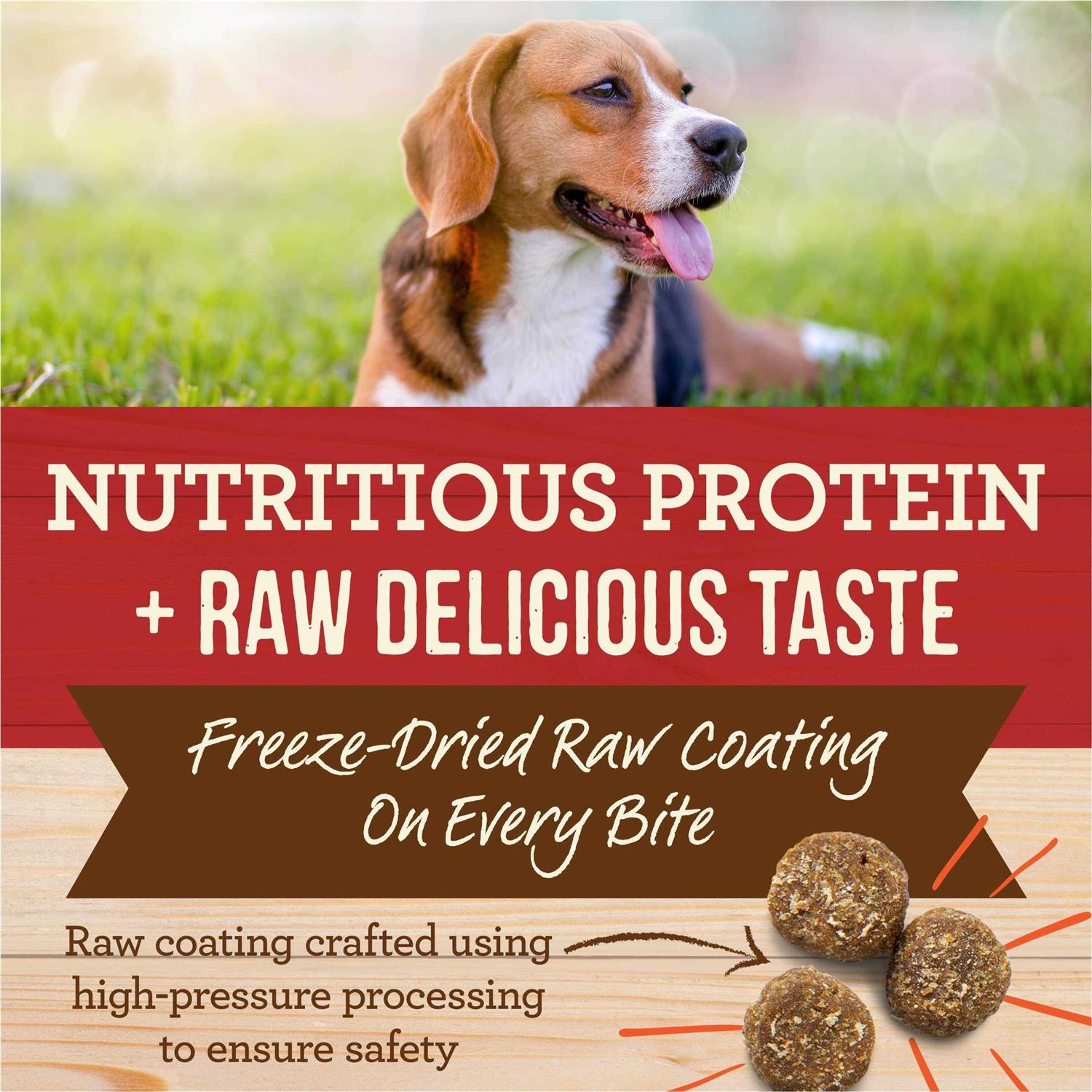 Merrick Healthy Grains Freeze Dried Raw Coated Kibble Dry Dog Food Real and Brown Rice Recipe - Healthber