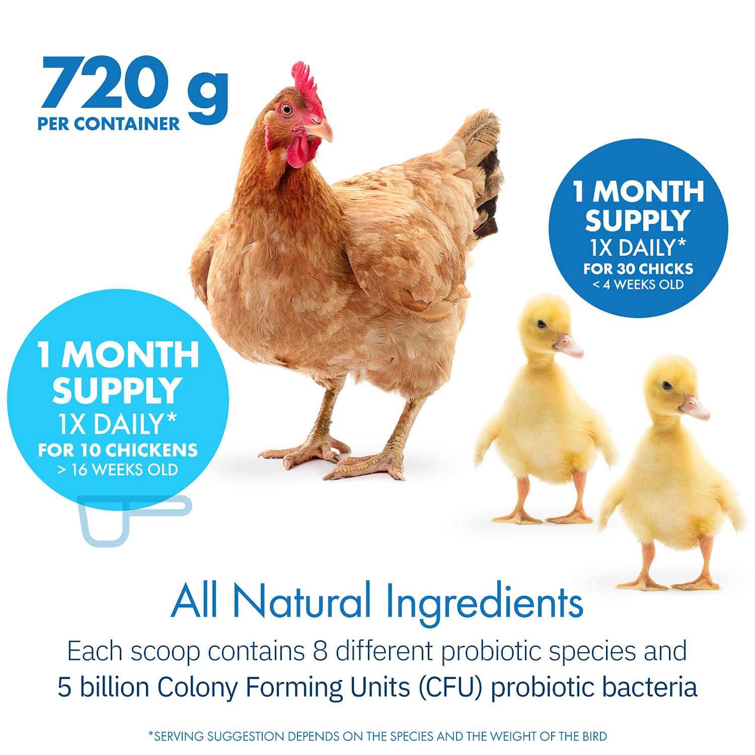 Equa Holistics HealthyGut Probiotics for Chickens & Poultry - Healthber