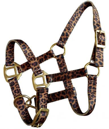 Showman Mini Halter in Patterns - Healthber
