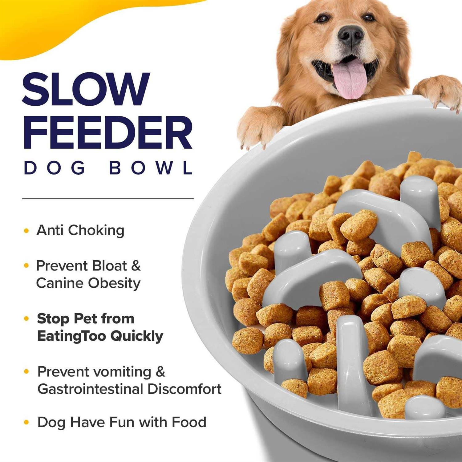 Ciconira Metal Elevated Dog Bowls with Slow Feeder & Spillproof Mat 8°Tilted Raised Dog Bowl Stand with Two 1.3L Stainless Steel Food Water Bowls,4 - Healthber