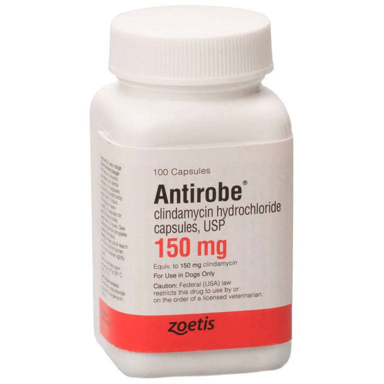 Rx Antirobe (clindamycin hydrochloride) Capsules for Dogs - Healthber
