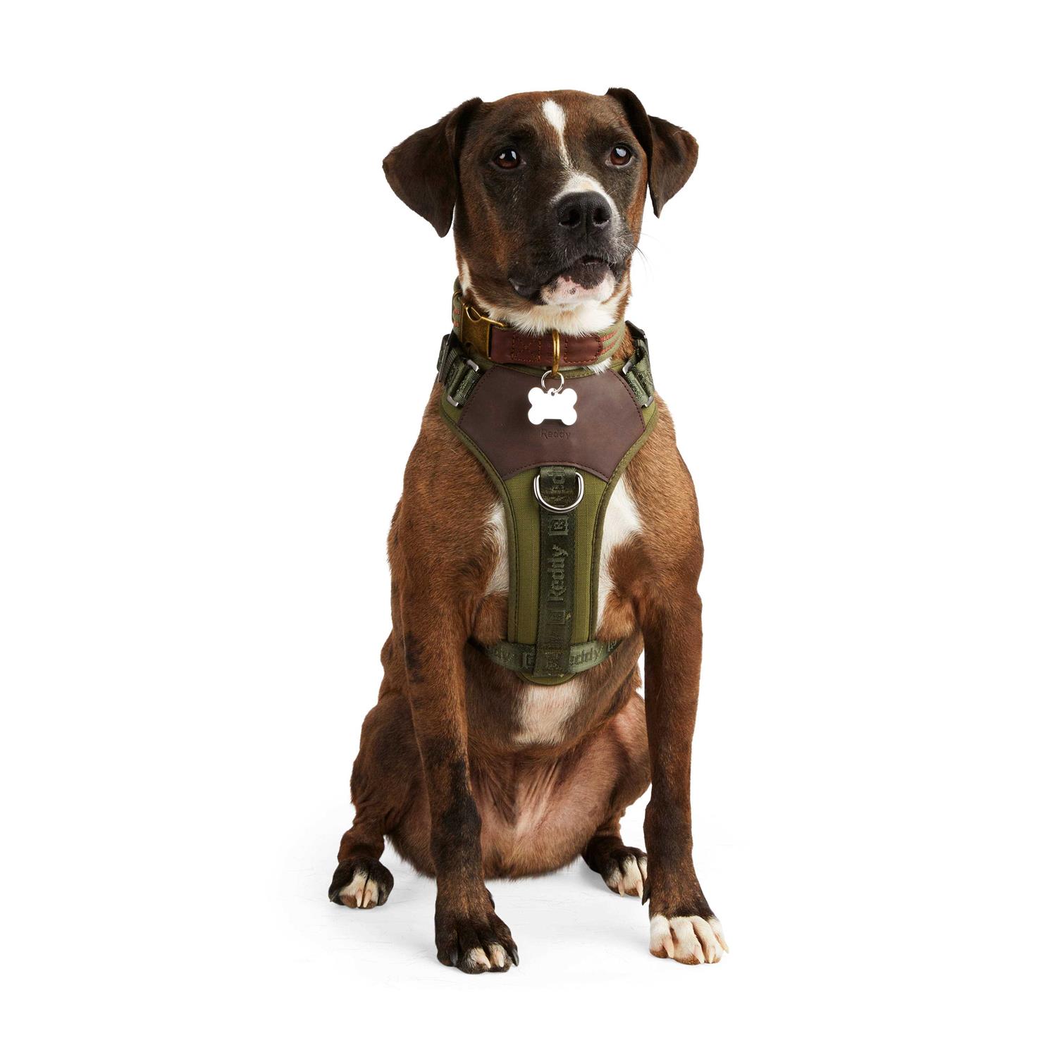 Reddy Dog Harness Jacquard - Healthber