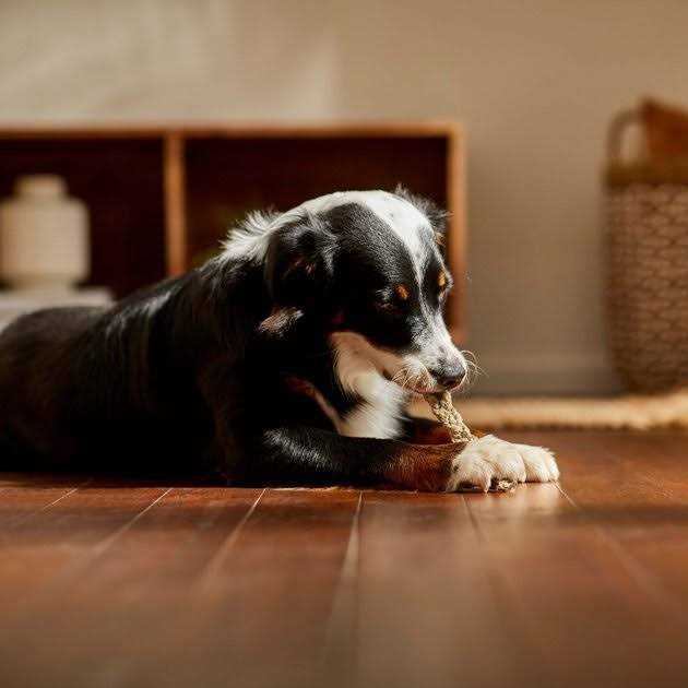 Bones & Chews 8 Braided Braided Cod Skin Dog Treats - Healthber