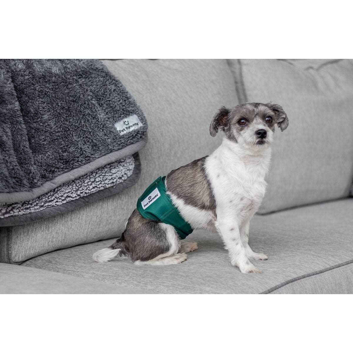 Pet Parents Washable Dog Belly Bands of Premium Male Dog Wraps - Healthber