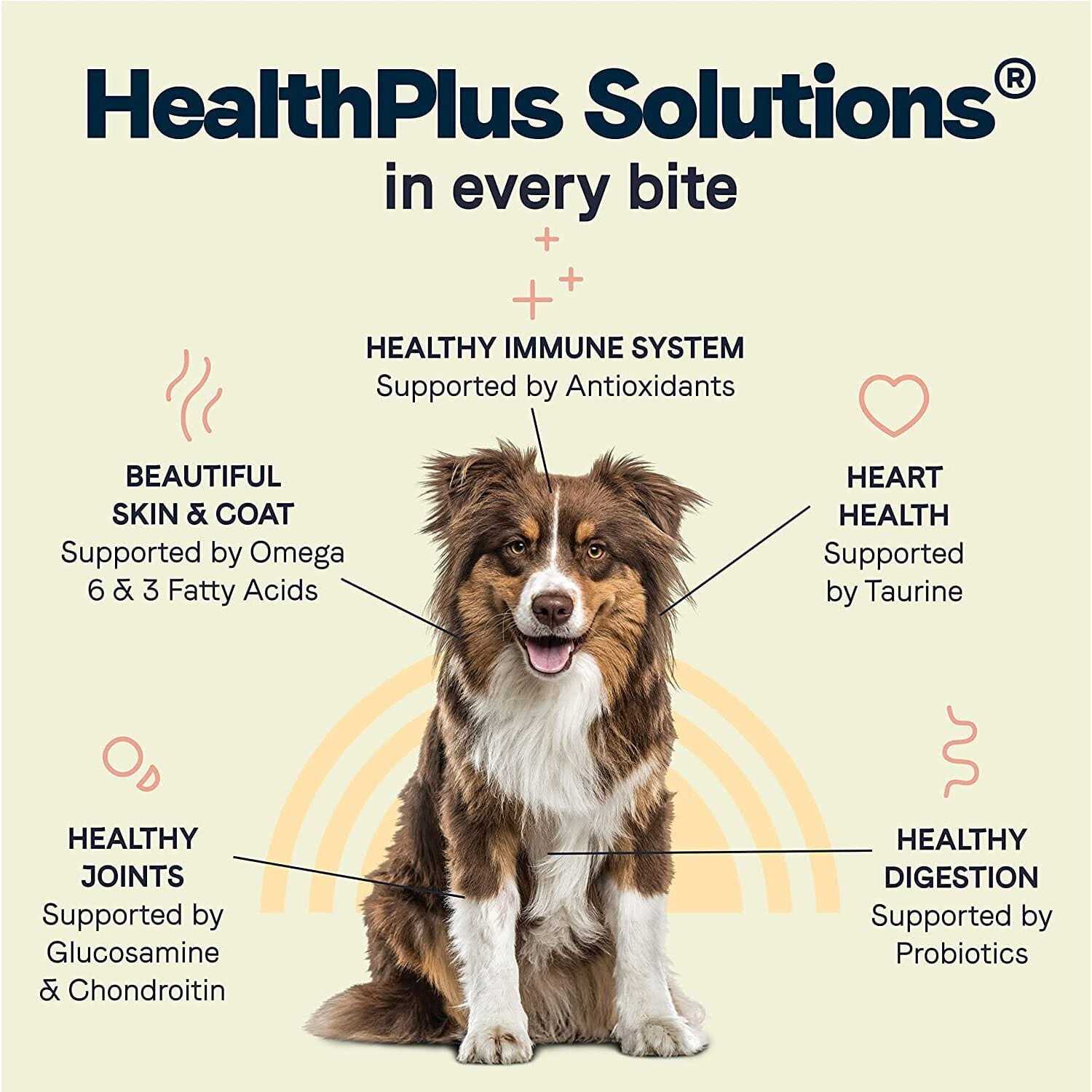 Canidae All Life Stages Dry Dog Food Lamb Meal & Rice - Healthber
