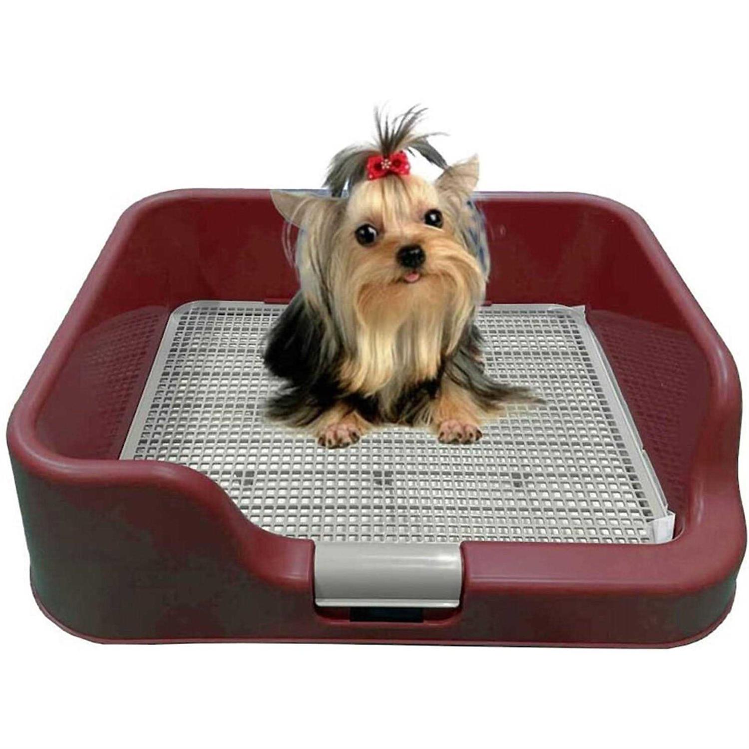 PS KOREA Indoor Dog Potty Tray with Protection Wall Every Side for No Leak, Spill, Accident - Healthber